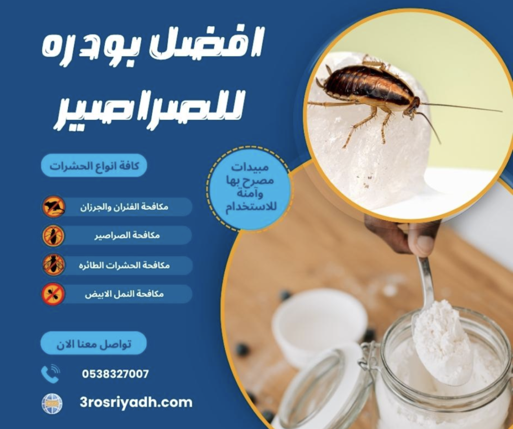 دليل مكافحة الصراصير والآفات: من الأسباب إلى الإبادة الاحترافية بالرياض