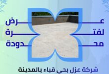 شركة عزل