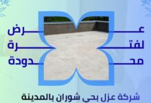 شركة عزل