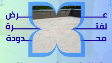 شركة عزل